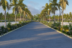 CC-ROAD