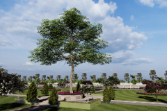 View_8-Photo